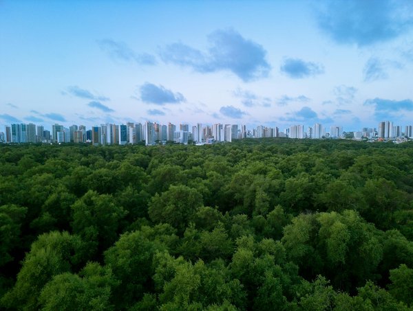Guide Créatif : Organiser un Concours de Dessin Enfant sur le Thème Écologique