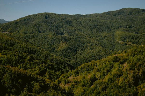 Les entreprises et la solidarité : quel rôle, quelles actions?