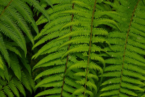 Les vêtements recyclés une tendance en hausse