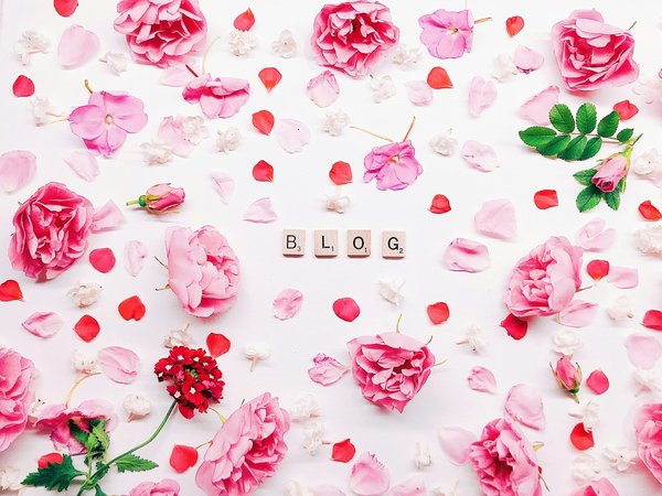 Comment créer un blog généraliste qui attire les lecteurs ?